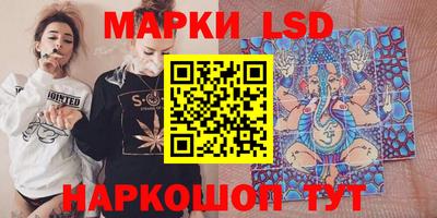 шишки Абакан