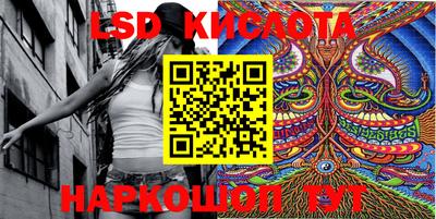 шишки Абакан