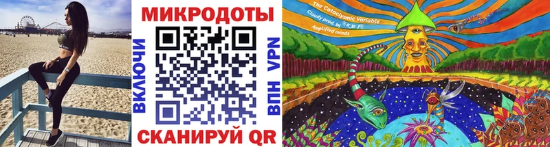 цена   Александров  Галлюциногенные грибы Cubensis 