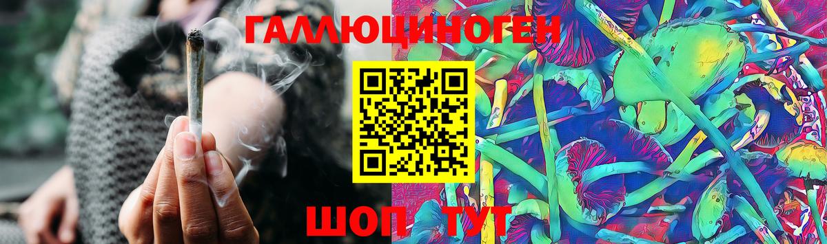 Александров  Галлюциногенные грибы MAGIC MUSHROOMS  Вход с VPN  Псилоцибиновые грибы Psilocybe 